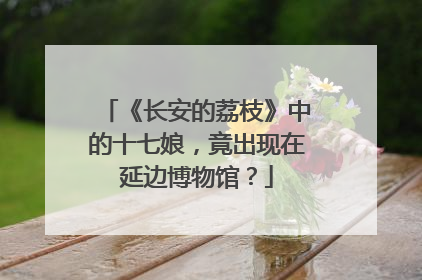 《长安的荔枝》中的十七娘，竟出现在延边博物馆？