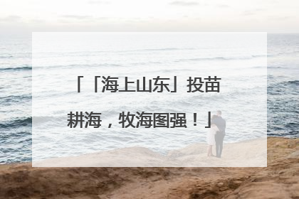 「海上山东」投苗耕海，牧海图强！