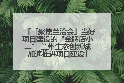 「聚焦兰洽会」当好项目建设的“金牌店小二” 兰州生态创新城加速推进项目建设