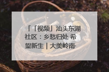 「视频」汕头东湖社区：乡愁归处 希望新生｜大美岭南·百村焕新记