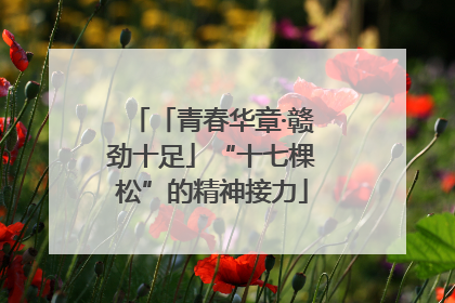 「青春华章·赣劲十足」“十七棵松”的精神接力
