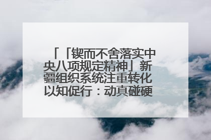 「锲而不舍落实中央八项规定精神」新疆组织系统注重转化以知促行：动真碰硬抓好整改整治