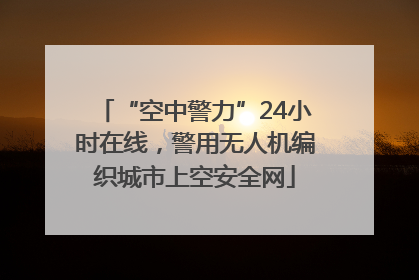 “空中警力”24小时在线，警用无人机编织城市上空安全网
