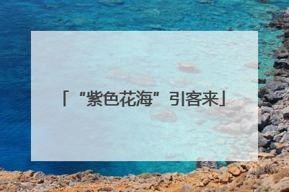 “紫色花海”引客来
