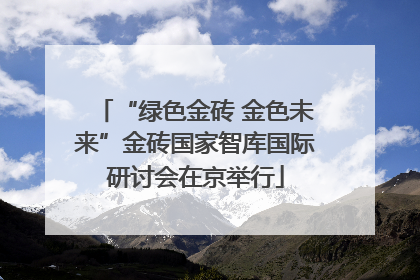“绿色金砖 金色未来”金砖国家智库国际研讨会在京举行