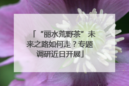 “丽水荒野茶”未来之路如何走？专题调研近日开展