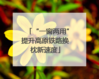 “一窗两用”提升高原铁路换枕新速度