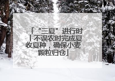 “三夏”进行时丨不误农时完成夏收夏种，确保小麦颗粒归仓