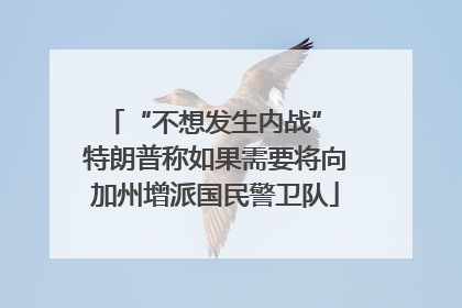 “不想发生内战” 特朗普称如果需要将向加州增派国民警卫队