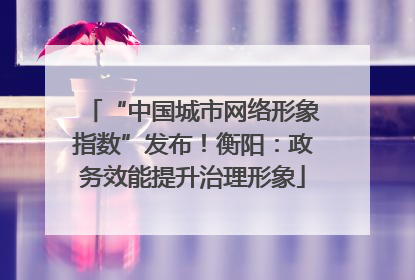 “中国城市网络形象指数”发布！衡阳：政务效能提升治理形象