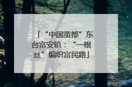 “中国茧都”东台富安镇：“一根丝”编织富民路