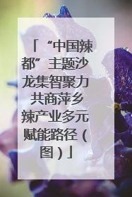“中国辣都”主题沙龙集智聚力 共商萍乡辣产业多元赋能路径（图）
