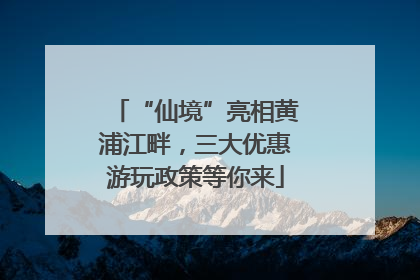 “仙境”亮相黄浦江畔，三大优惠游玩政策等你来