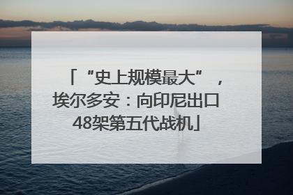 “史上规模最大”，埃尔多安：向印尼出口48架第五代战机