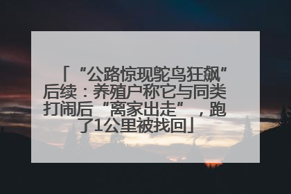 “公路惊现鸵鸟狂飙”后续：养殖户称它与同类打闹后“离家出走”，跑了1公里被找回