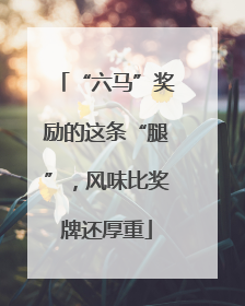 “六马”奖励的这条“腿”，风味比奖牌还厚重