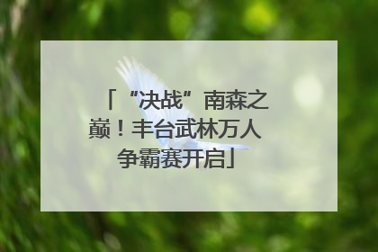 “决战”南森之巅！丰台武林万人争霸赛开启