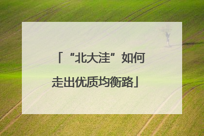 “北大洼”如何走出优质均衡路