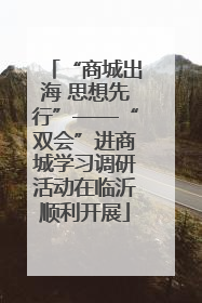 “商城出海 思想先行”——“双会”进商城学习调研活动在临沂顺利开展