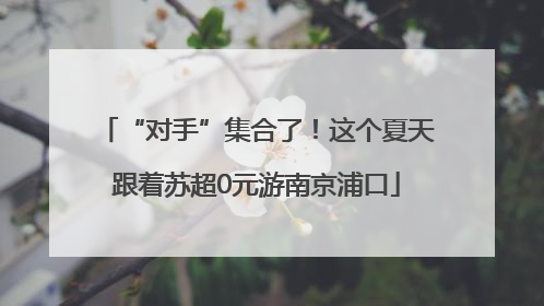 “对手”集合了！这个夏天跟着苏超0元游南京浦口