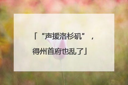 “声援洛杉矶”，得州首府也乱了