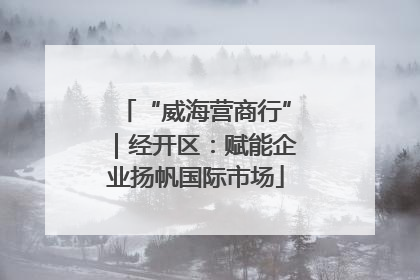 “威海营商行”｜经开区：赋能企业扬帆国际市场