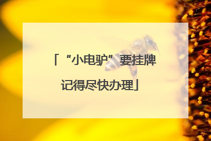 “小电驴”要挂牌 记得尽快办理