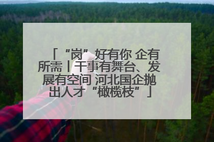 “岗”好有你 企有所需丨干事有舞台、发展有空间 河北国企抛出人才“橄榄枝”