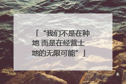 “我们不是在种地 而是在经营土地的无限可能”