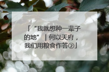 “我就想种一辈子的地”｜何以天府，我们用粮食作答②