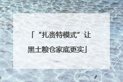 “扎赉特模式”让黑土粮仓家底更实