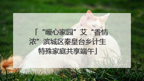 “暖心家园”艾“香情浓”滨城区秦皇台乡计生特殊家庭共享端午