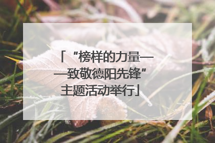 “榜样的力量——致敬德阳先锋”主题活动举行