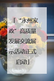 “永州家政”高质量发展交流展示活动正式启动
