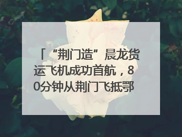 “荆门造”晨龙货运飞机成功首航，80分钟从荆门飞抵鄂州花湖机场