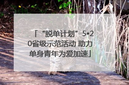 “脱单计划”5•20省级示范活动 助力单身青年为爱加速