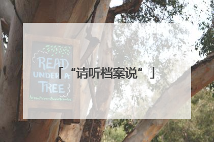 “请听档案说”