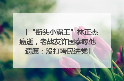 “街头小霸王”林正杰癌逝，老战友许国泰曝他遗愿：没打垮民进党