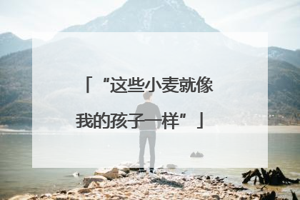 “这些小麦就像我的孩子一样”