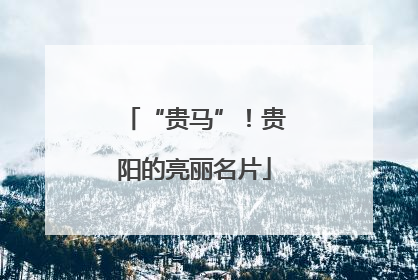 “贵马”！贵阳的亮丽名片