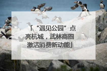“遇见公园”点亮杭城，武林商圈激活消费新动能