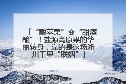 “酸苹果”变“甜酒酿”！盐源高原果的华丽转身，靠的是这场浙川千里“联姻”