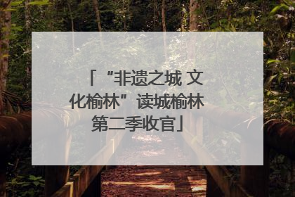 “非遗之城 文化榆林”读城榆林第二季收官