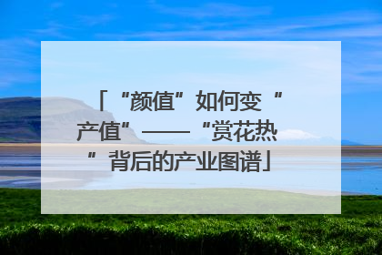 “颜值”如何变“产值”——“赏花热”背后的产业图谱