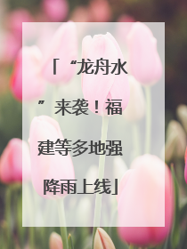 “龙舟水”来袭！福建等多地强降雨上线