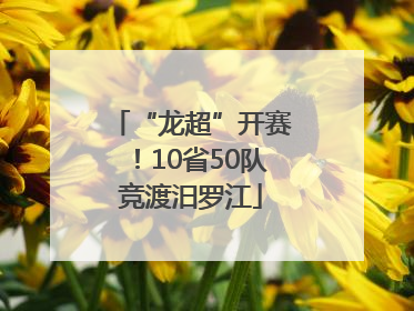 “龙超”开赛！10省50队竞渡汨罗江