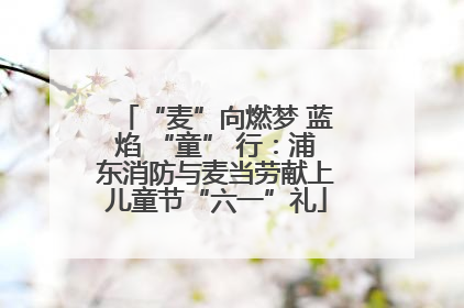 “麦”向燃梦 蓝焰 “童” 行：浦东消防与麦当劳献上儿童节“六一”礼