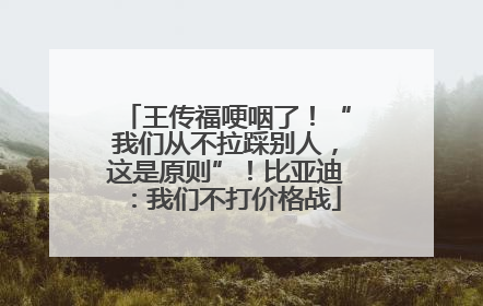 王传福哽咽了！“我们从不拉踩别人，这是原则”！比亚迪：我们不打价格战