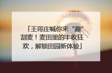 王哥庄喊你来“趣”割麦！麦田里的丰收狂欢，解锁田园新体验
