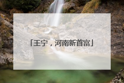 王宁，河南新首富